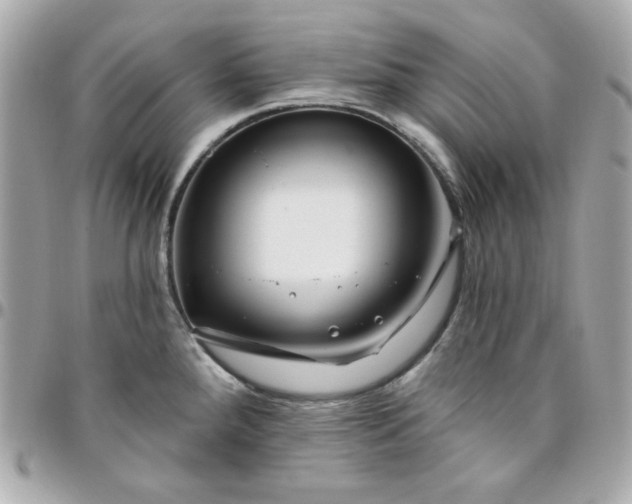 X0000096471288200802071848