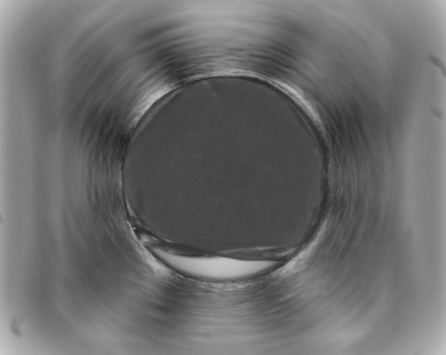 X0000096471289200802071848