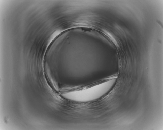 X0000096471291200802071848