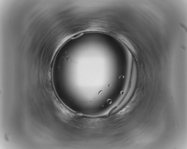 X0000096471292200802071848