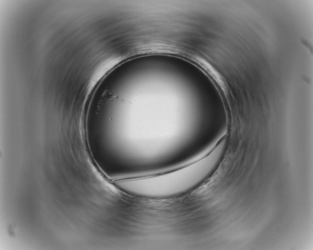 X0000096471293200802071848