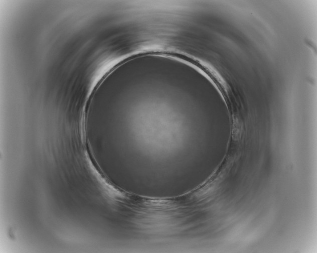 X0000096471295200802071848