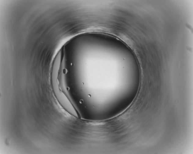 X0000096471296200802071848