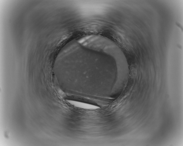 X0000096471297200802071847