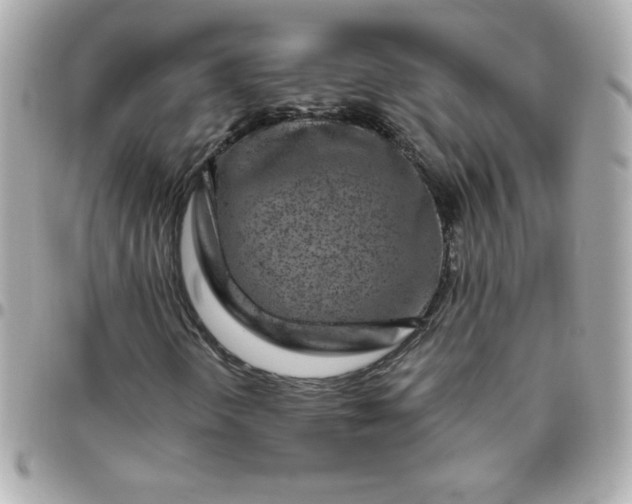 X0000096471298200802071847