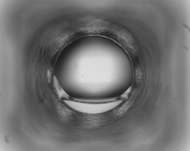 X0000096471300200802071847