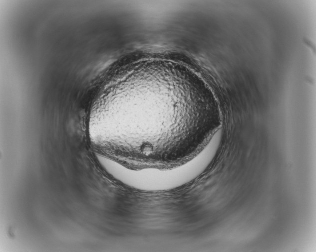 X0000096471301200802071847