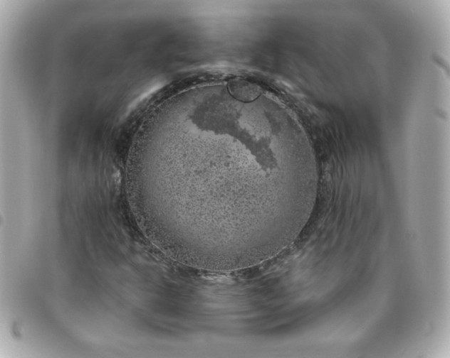 X0000096471302200802071848