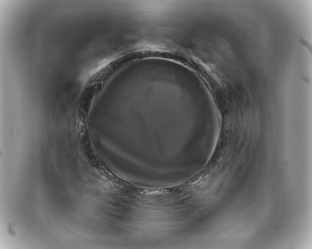 X0000096471303200802071848