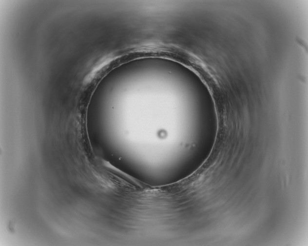 X0000096471304200802071848