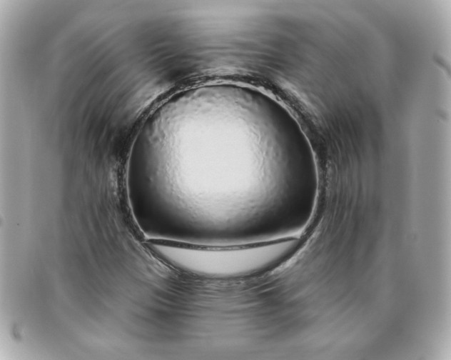 X0000096471305200802071848