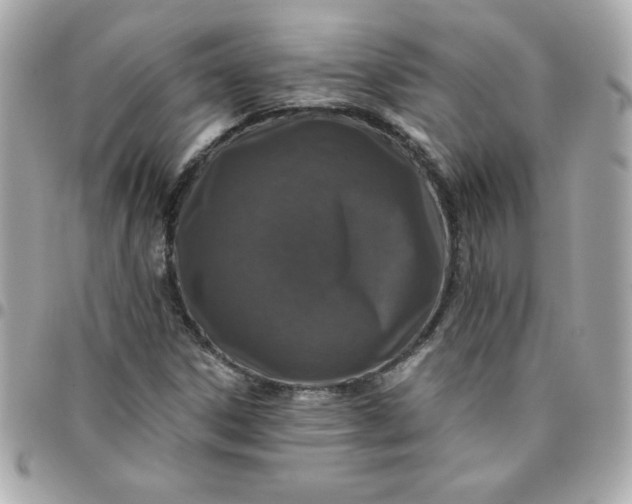 X0000096471306200802071848