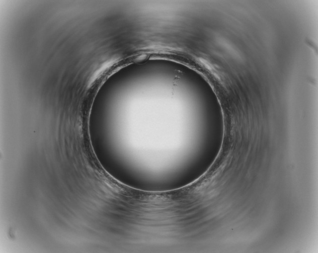 X0000096471307200802071848