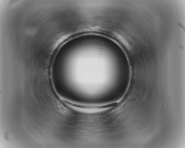 X0000096471308200802071848