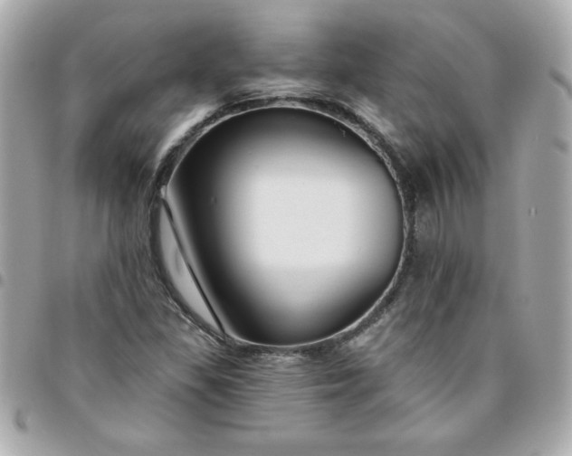 X0000096471309200802071848