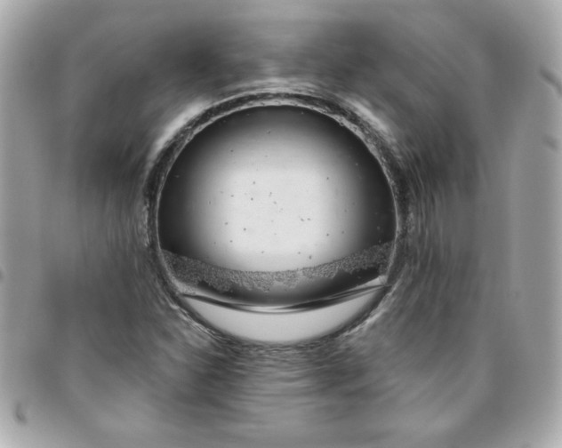 X0000096471310200802071848