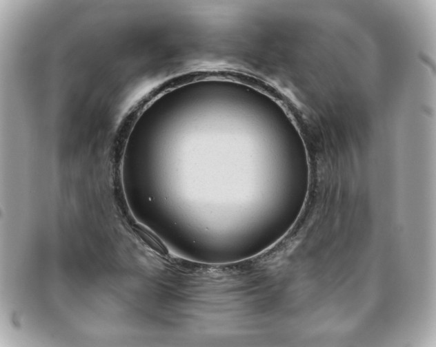 X0000096471311200802071848