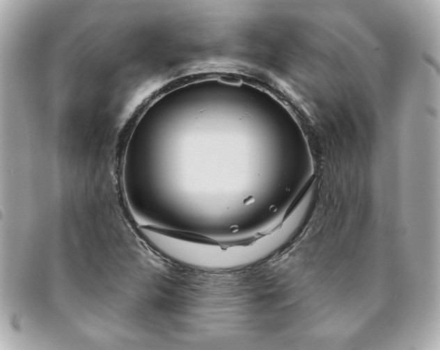 X0000096471312200802071848