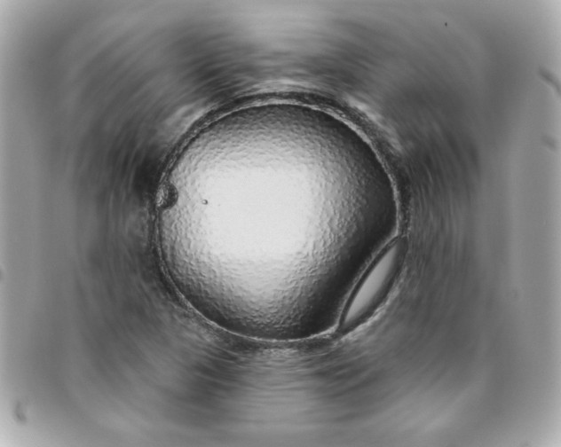 X0000096471313200802071848