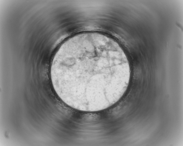 X0000096471314200802071848