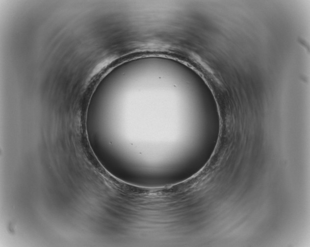 X0000096471315200802071848