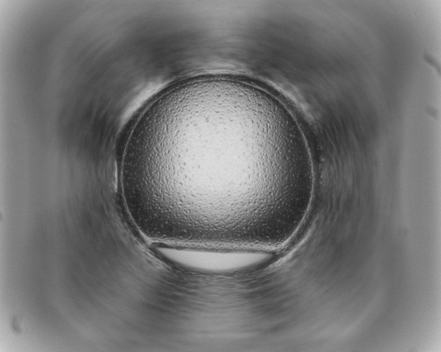 X0000096471317200802071848