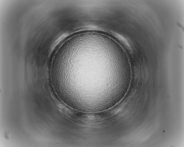 X0000096471318200802071848