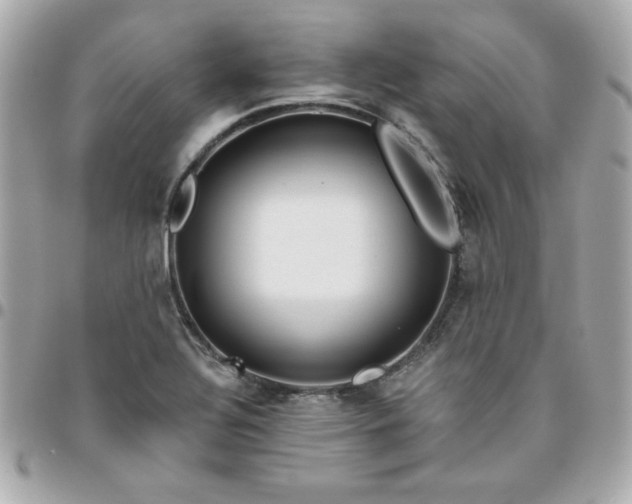 X0000096471320200802071848