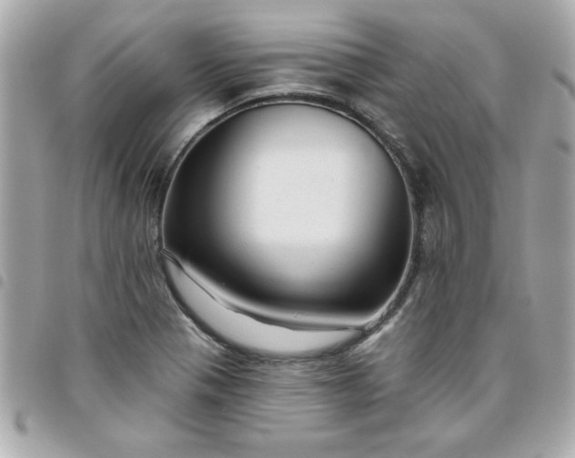 X0000096471321200802071848