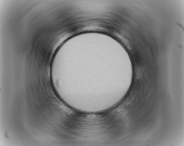 X0000096471322200802071848