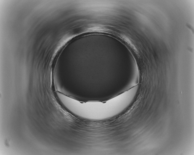 X0000096471323200802071848