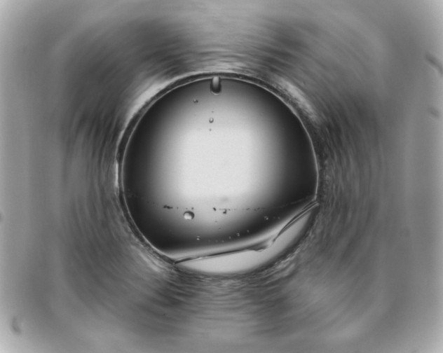 X0000096471324200802071848