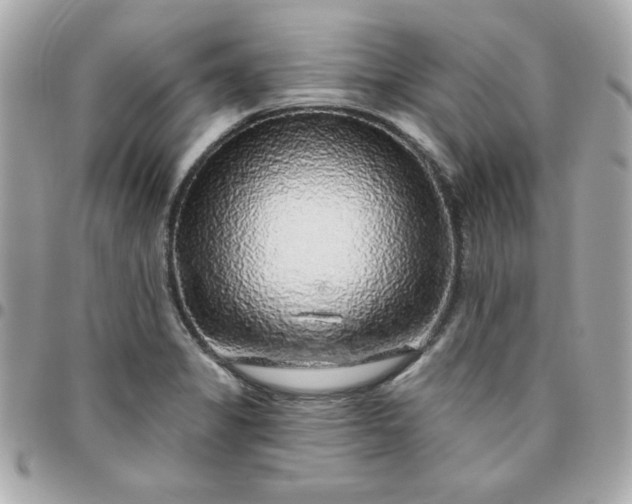 X0000096471325200802071848