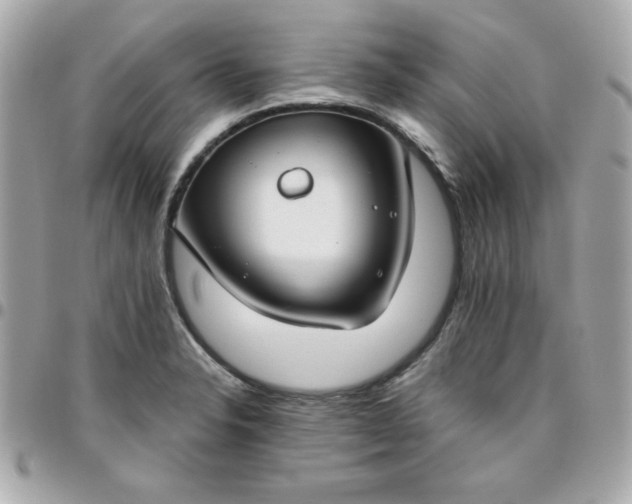 X0000096471326200802071848