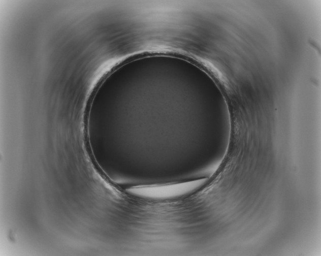 X0000096471327200802071848