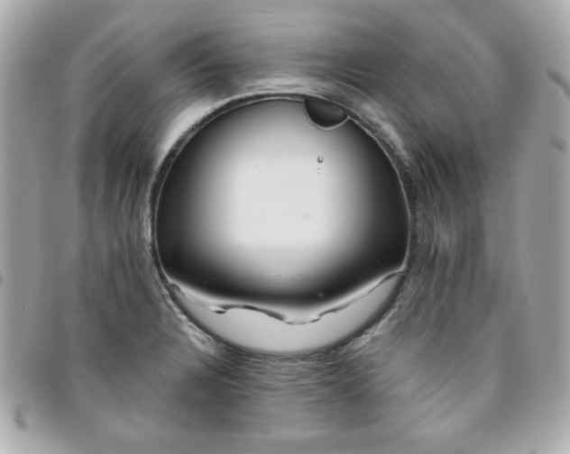 X0000096471328200802071848