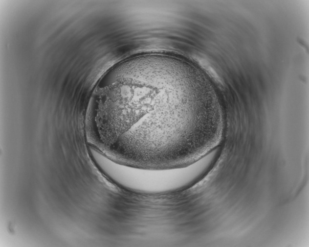 X0000096471329200802071848