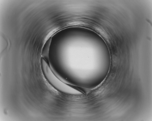 X0000096471330200802071848