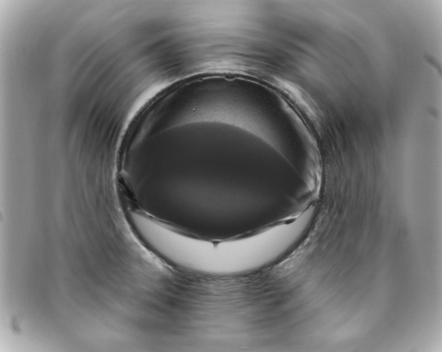 X0000096471331200802071848