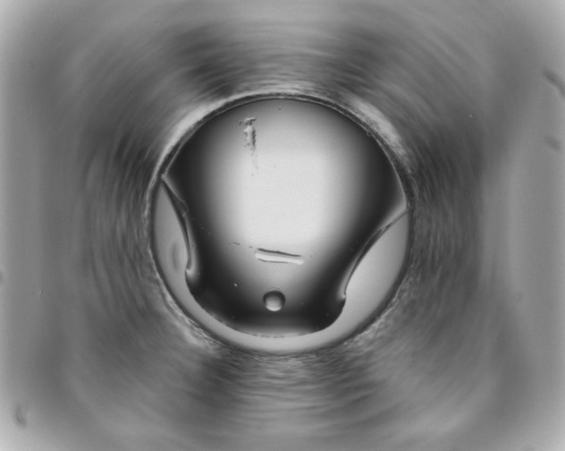 X0000096471332200802071848