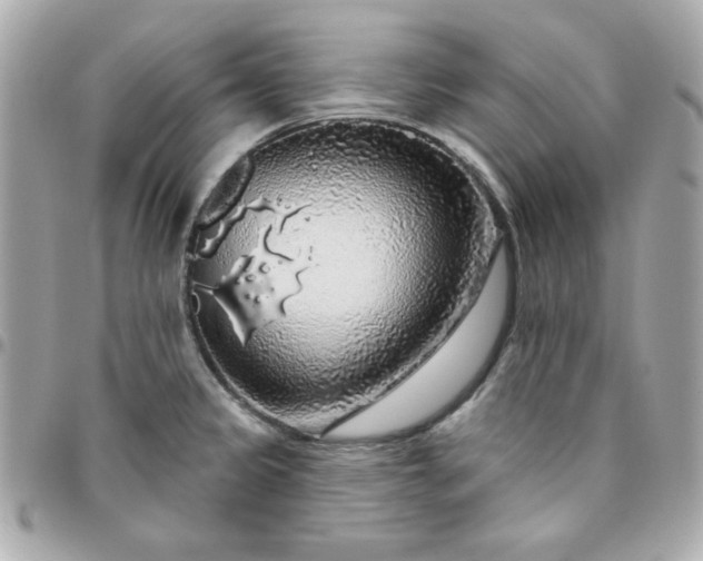 X0000096471333200802071848