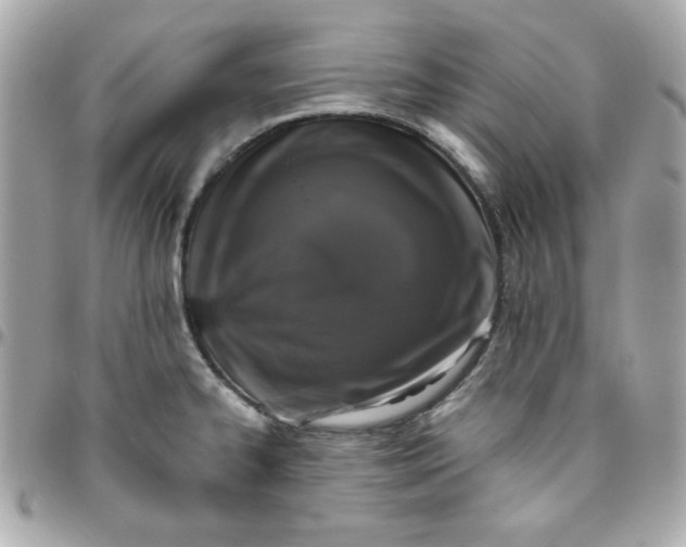 X0000096471334200802071848