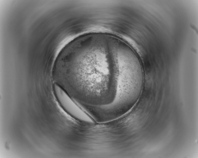 X0000096471335200802071848