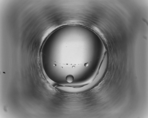 X0000096471336200802071848