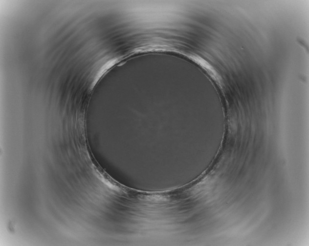 X0000096471337200802071848