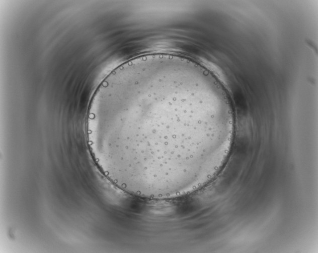 X0000096471338200802071848