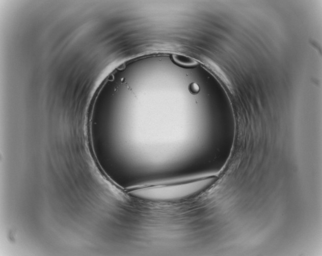 X0000096471339200802071848