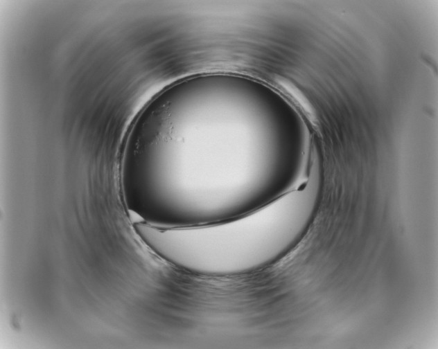 X0000096471340200802071848