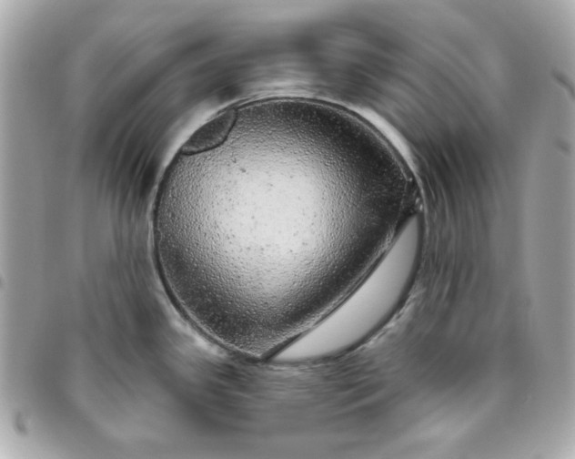 X0000096471341200802071848