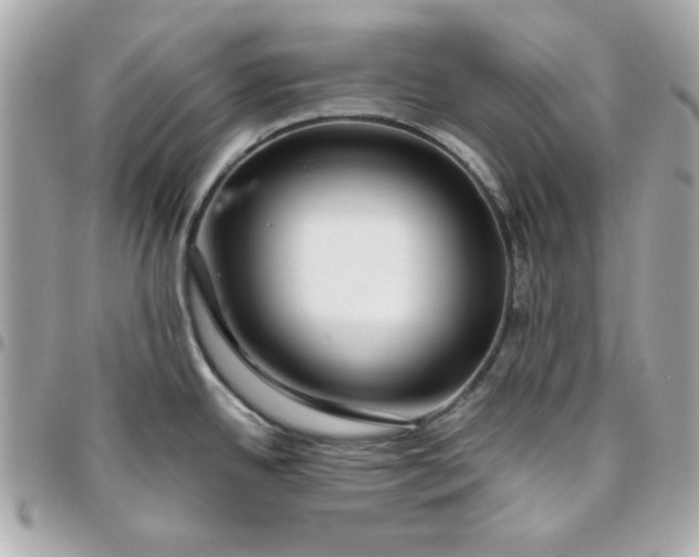 X0000096471342200802071848